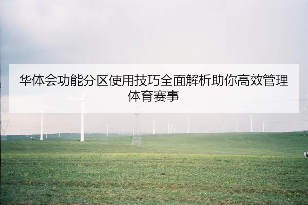 华体会功能分区使用技巧全面解析助你高效管理体育赛事