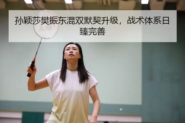孙颖莎樊振东混双默契升级，战术体系日臻完善